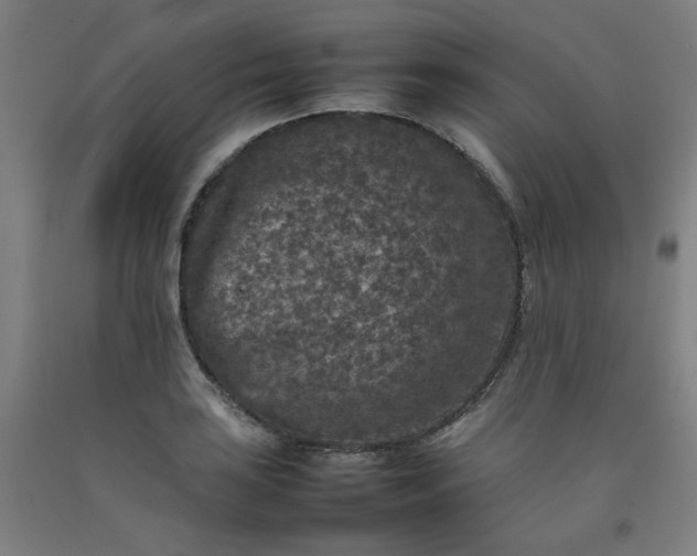 X0000092221035200709281039