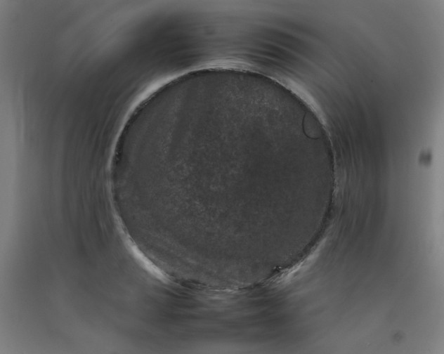 X0000092221037200709281039