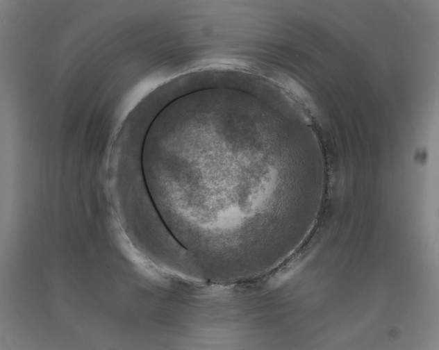 X0000092221038200709281039