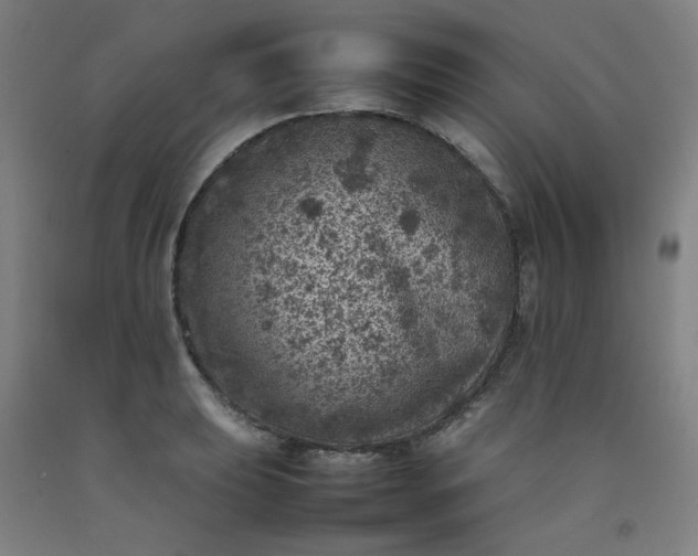 X0000092221039200709281039