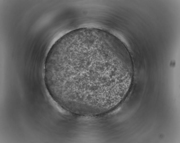 X0000092221040200709281039