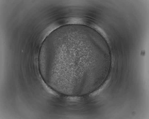X0000092221041200709281039