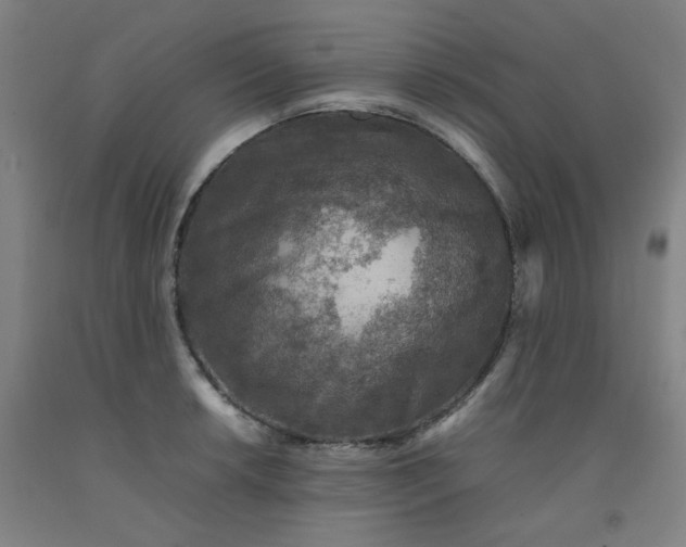 X0000092221042200709281039