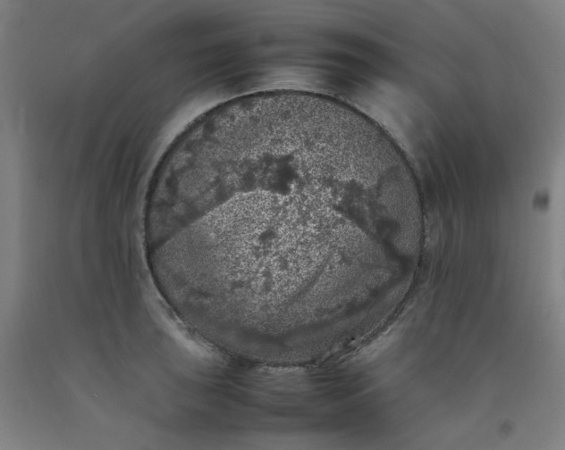X0000092221043200709281039