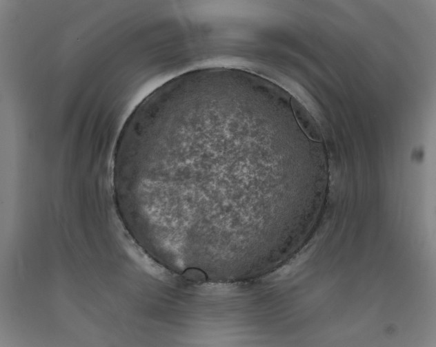 X0000092221044200709281039