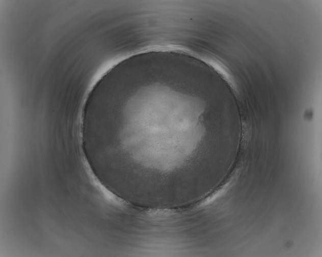 X0000092221046200709281039