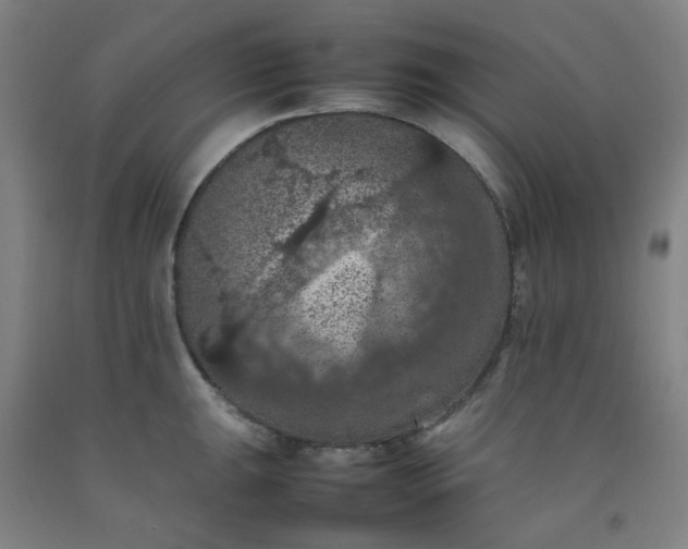 X0000092221047200709281039