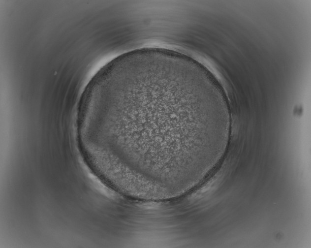 X0000092221048200709281039