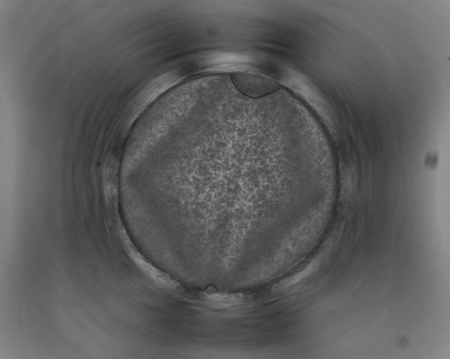 X0000092221049200709281039