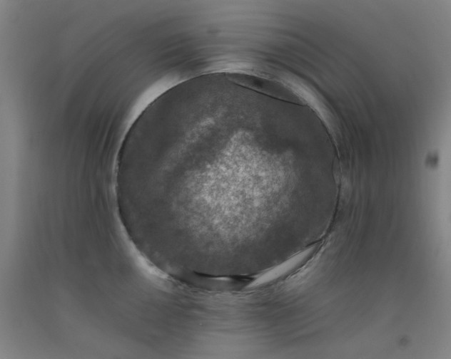 X0000092221050200709281039
