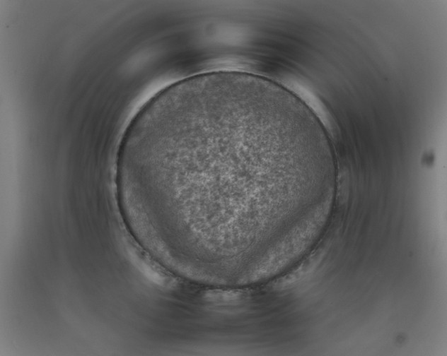 X0000092221051200709281039