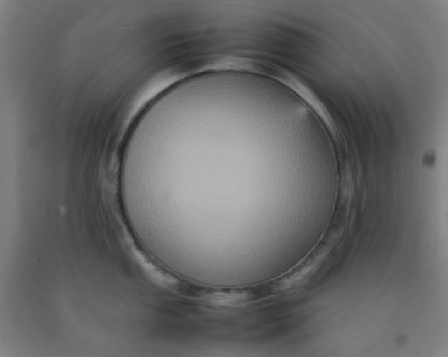 X0000092221053200709281039