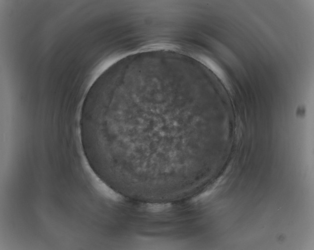 X0000092221055200709281039