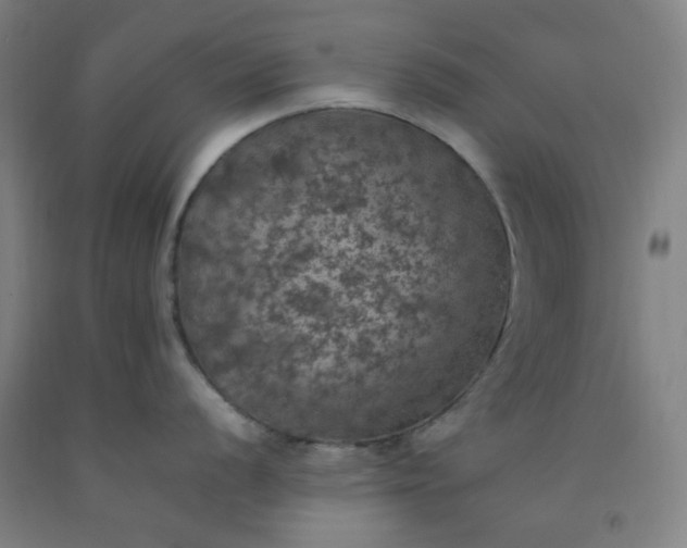 X0000092221056200709281039
