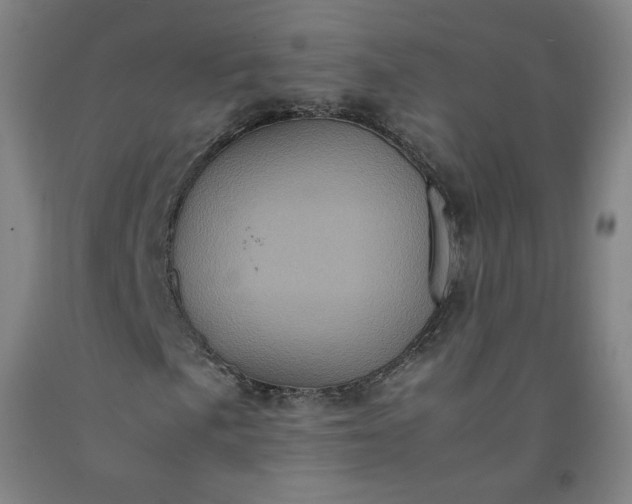 X0000092221057200709281039