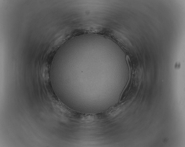 X0000092221058200709281039