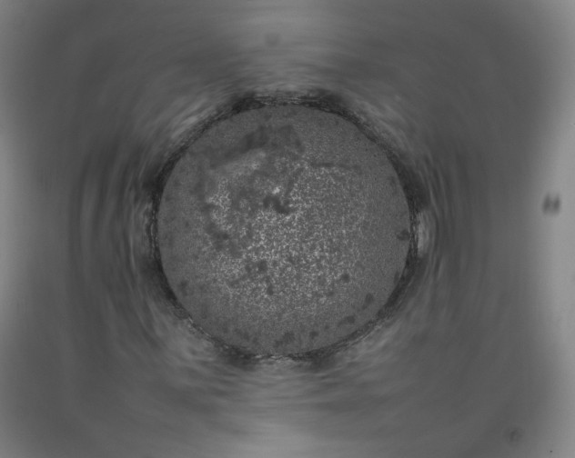 X0000092221059200709281039