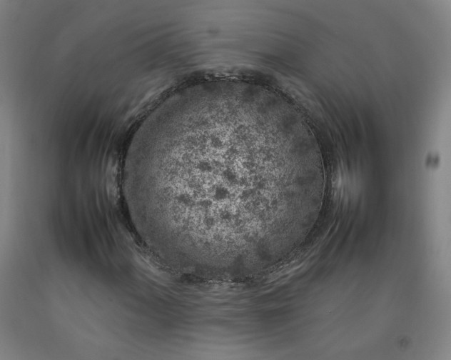 X0000092221060200709281039