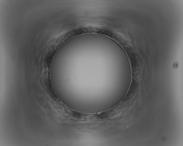 X0000092221061200709281039