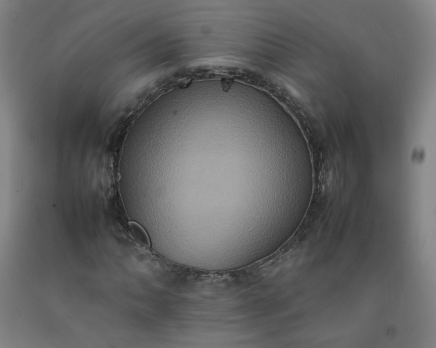 X0000092221062200709281039