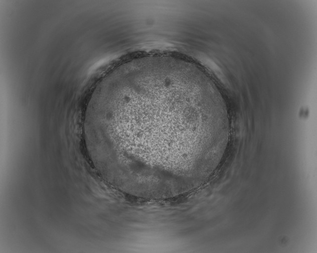 X0000092221063200709281039