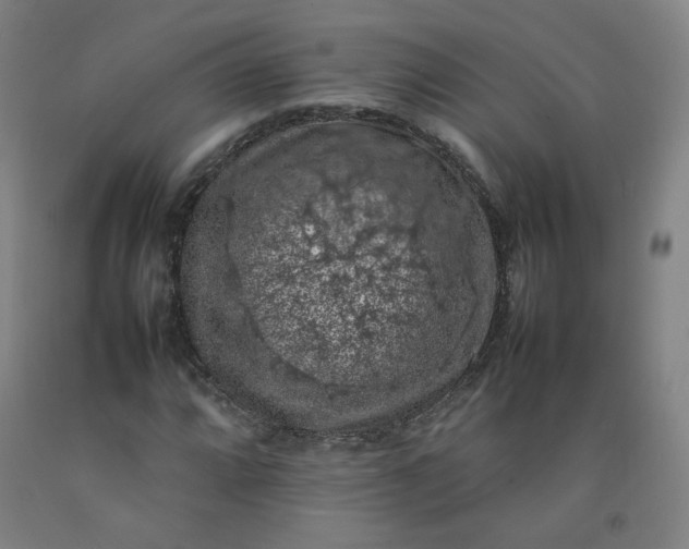 X0000092221064200709281039