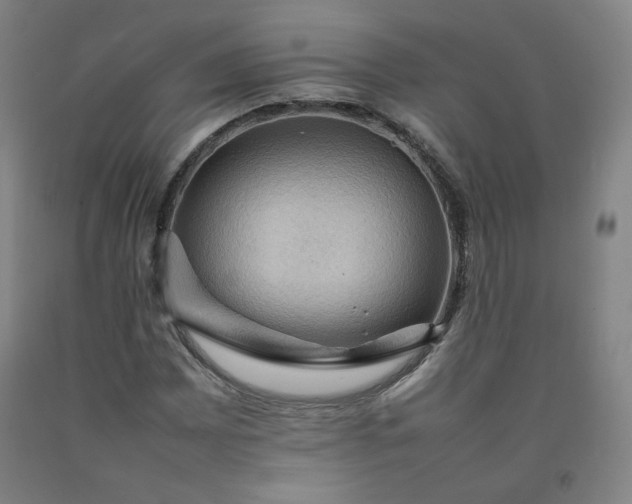 X0000092221065200709281039