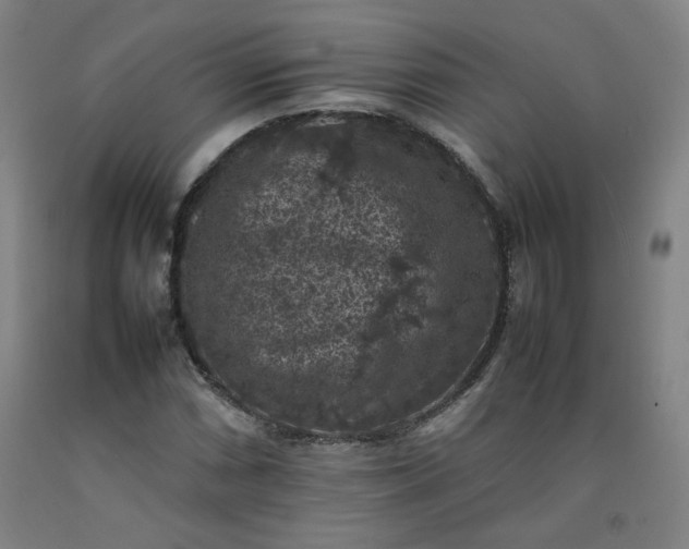 X0000092221066200709281039
