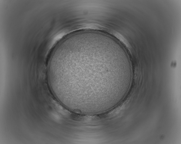 X0000092221067200709281039