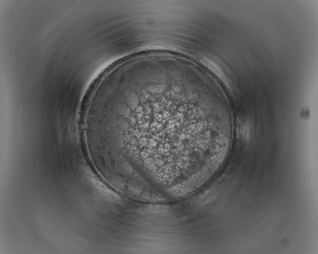X0000092221068200709281039