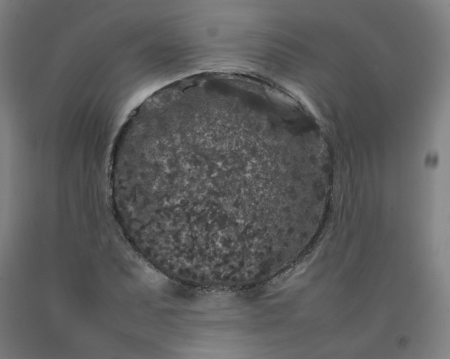 X0000092221071200709281038
