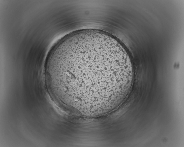 X0000092221072200709281038