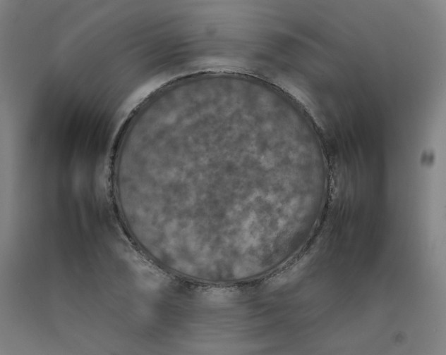 X0000092221074200709281038