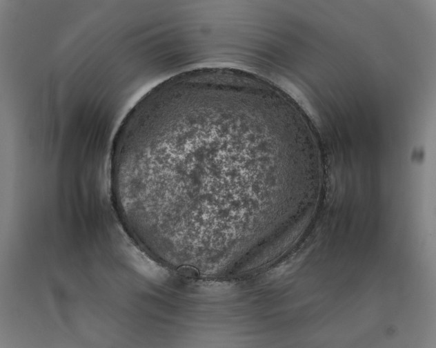 X0000092221076200709281038