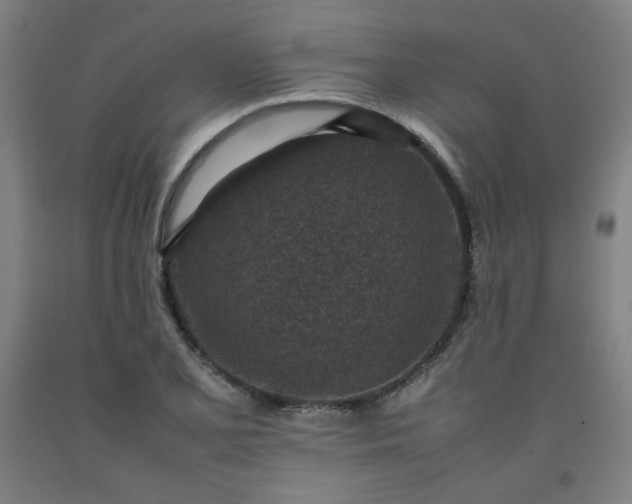 X0000092221077200709281038