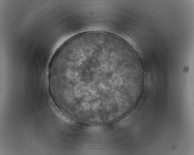 X0000092221078200709281038