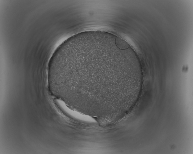 X0000092221079200709281038