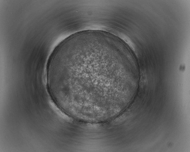 X0000092221080200709281038