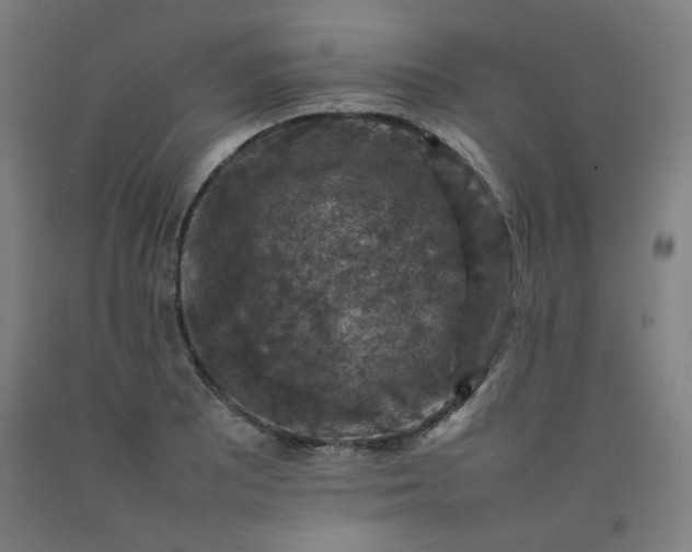 X0000092221081200709281038