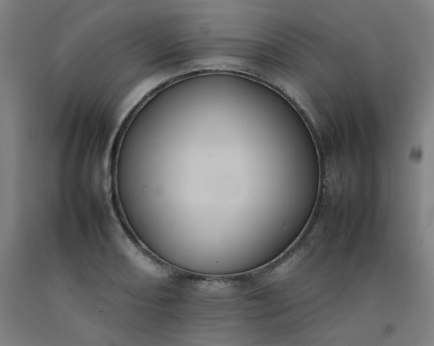 X0000092221082200709281038