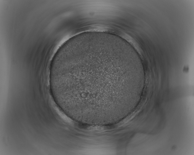 X0000092221083200709281038
