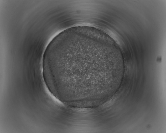 X0000092221084200709281038