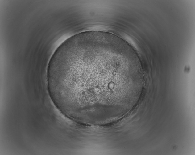 X0000092221087200709281038