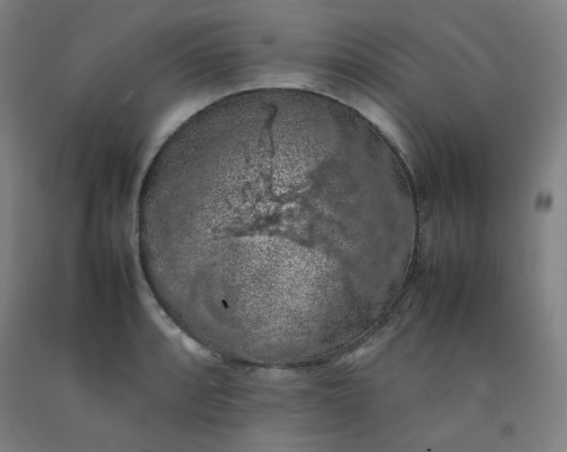 X0000092221088200709281038