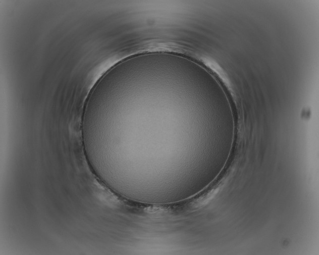 X0000092221089200709281038