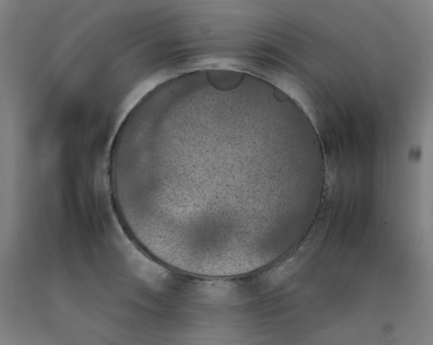 X0000092221090200709281038