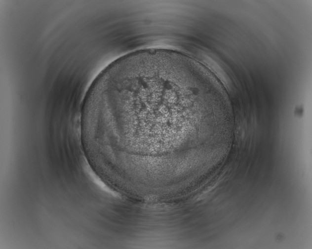 X0000092221092200709281038