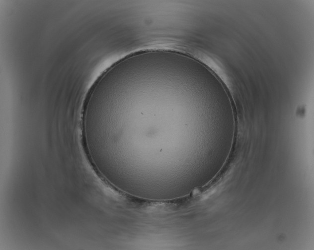 X0000092221093200709281038