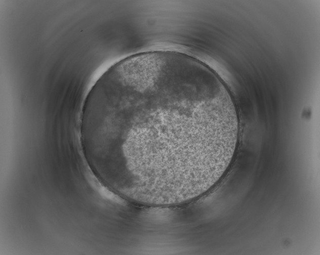 X0000092221094200709281038