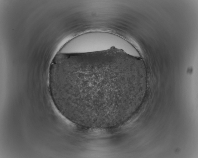 X0000092221095200709281038